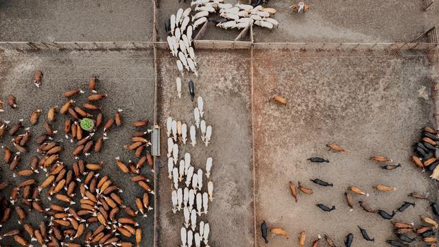 European Parliament approves farmer protection