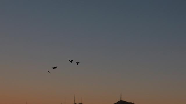 USA: Test von Anti-Drohnen-Lasern führten zu Luftraumsperre an US-Südgrenze