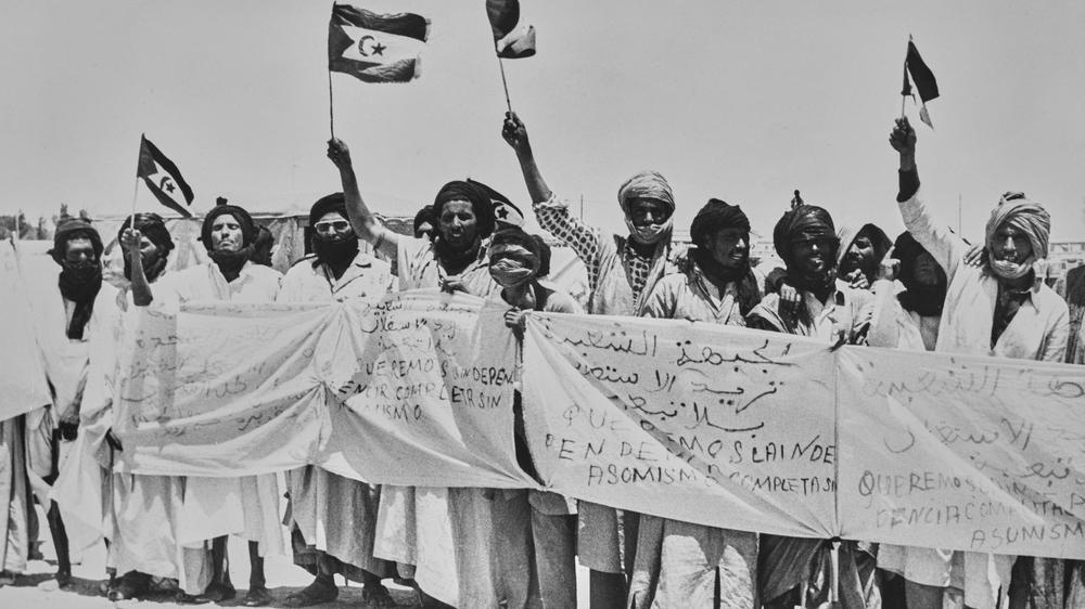  Noch bevor die Dars ausgerufen wurde, versammelte sich eine Gruppe der in der Westsahara ansässigen Sahrauis, um ihre Unterstützung für die Unabhängigkeitsbewegung Polisario zu bekunden. Die Flagge der Polisario wurde später zur Flagge der Dars.