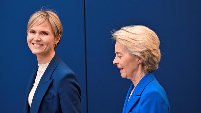 Sicherheitspolitik: Island will Ende August über EU-Beitritt abstimmen