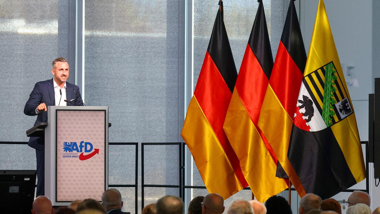 AfD Sachsen-Anhalt: Sachsen-Anhalts AfD beschließt Wahlprogramm