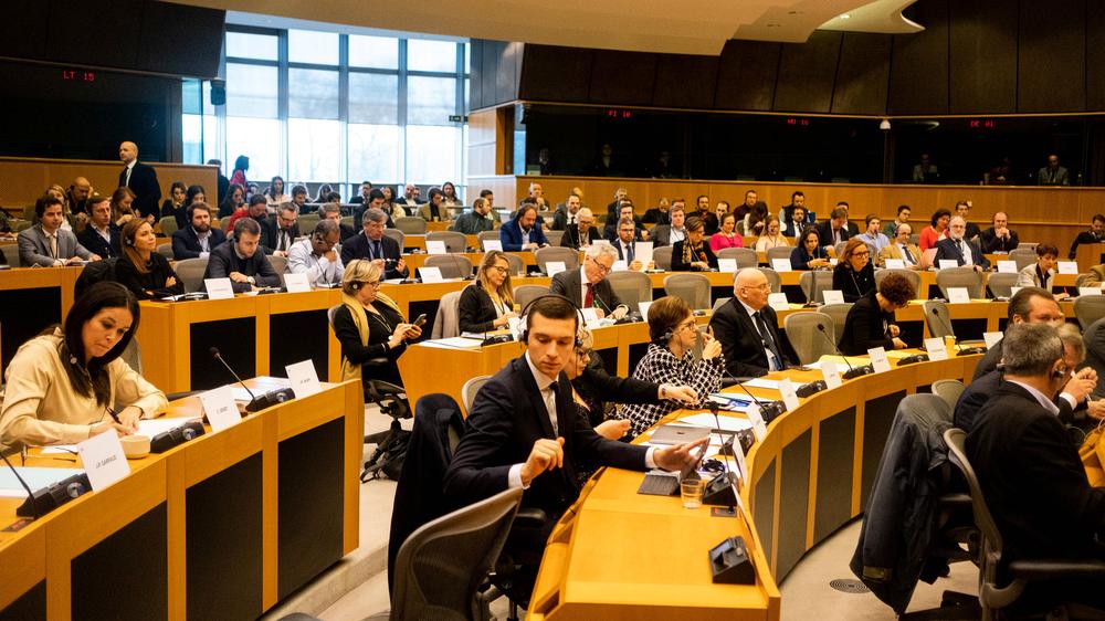 Fraktion Identität und Demokratie Europäisches Parlaments