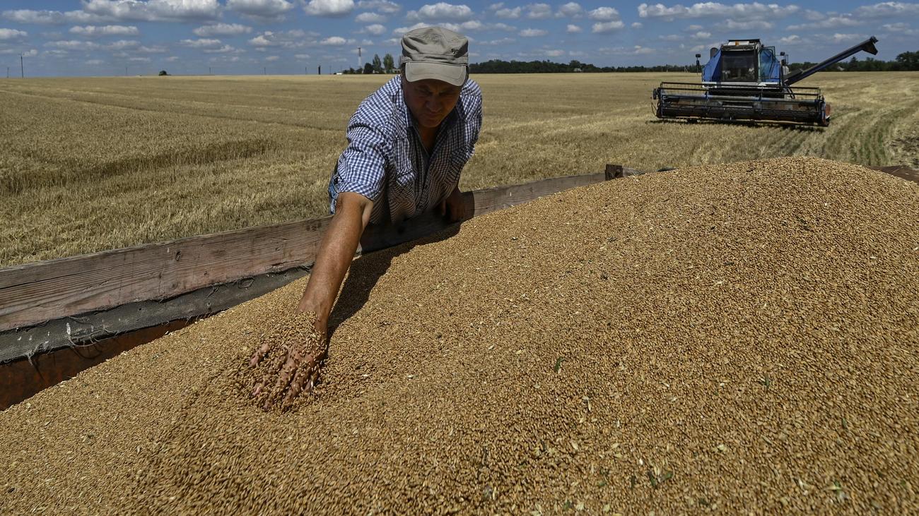 Krieg gegen die Ukraine: Selenskyj wirft Israel Kauf von gestohlenem ukrainischen Getreide vor