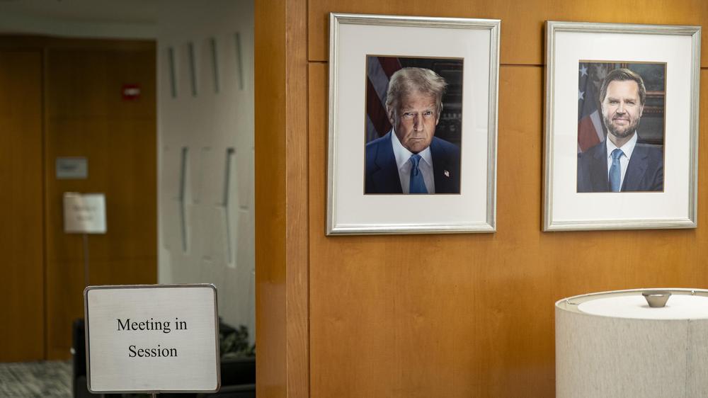  Nach dem Willen von Donald Trump soll US-Vizepräsident JD Vance Betrugsfällen in den USA nachgehen.