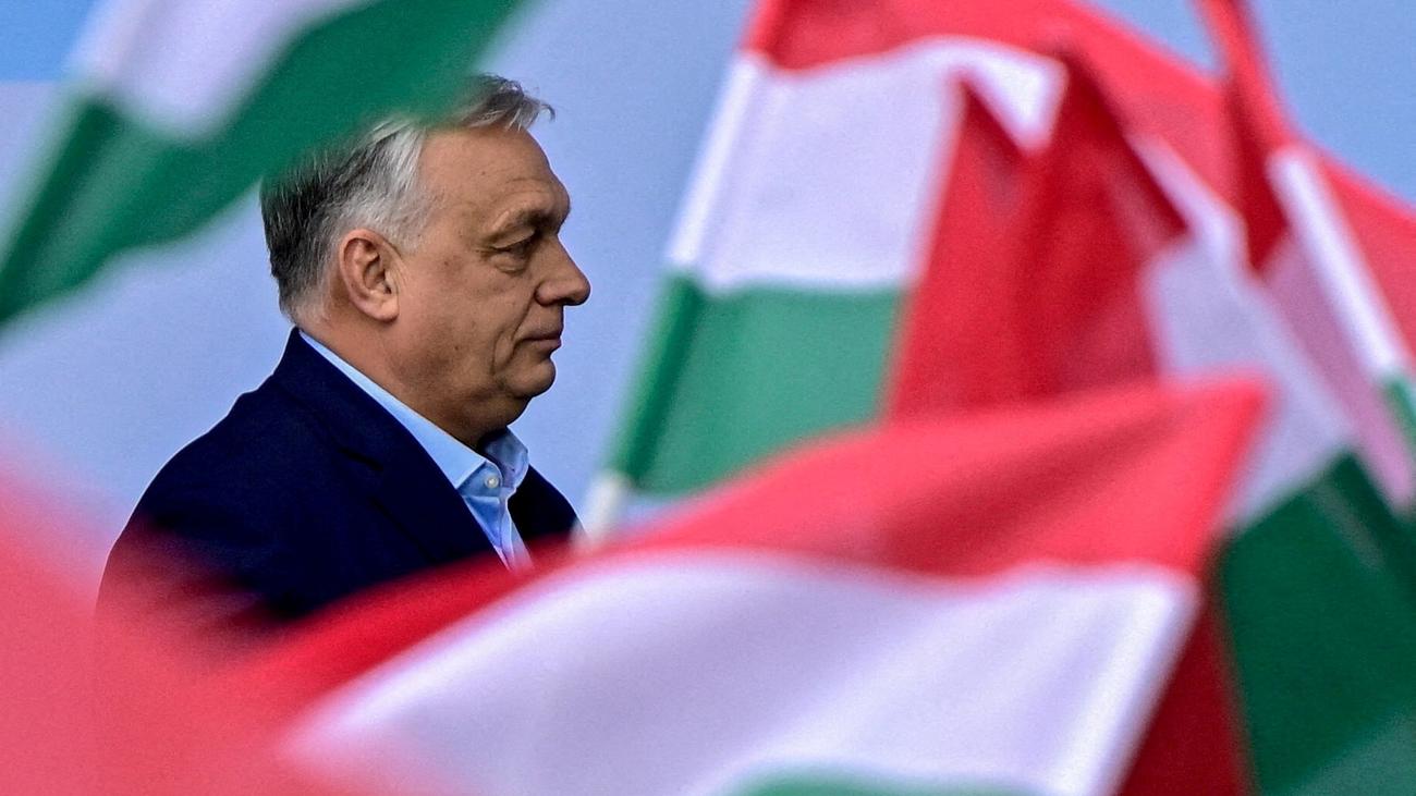 Viktor Orbán: Europarat kritisiert politisches Klima vor Parlamentswahl in Ungarn