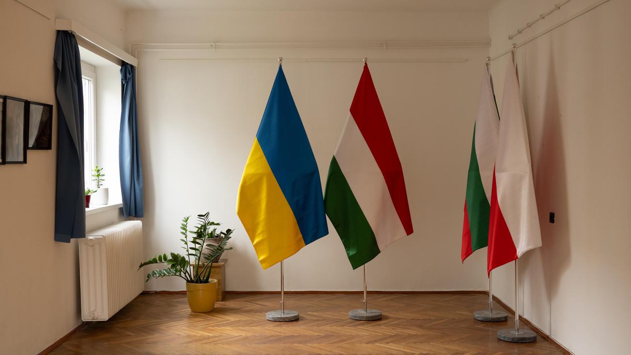 Wahl in Ungarn: "Sonst wird sich Orbán an jedem rächen, der sich ihm widersetzt hat"