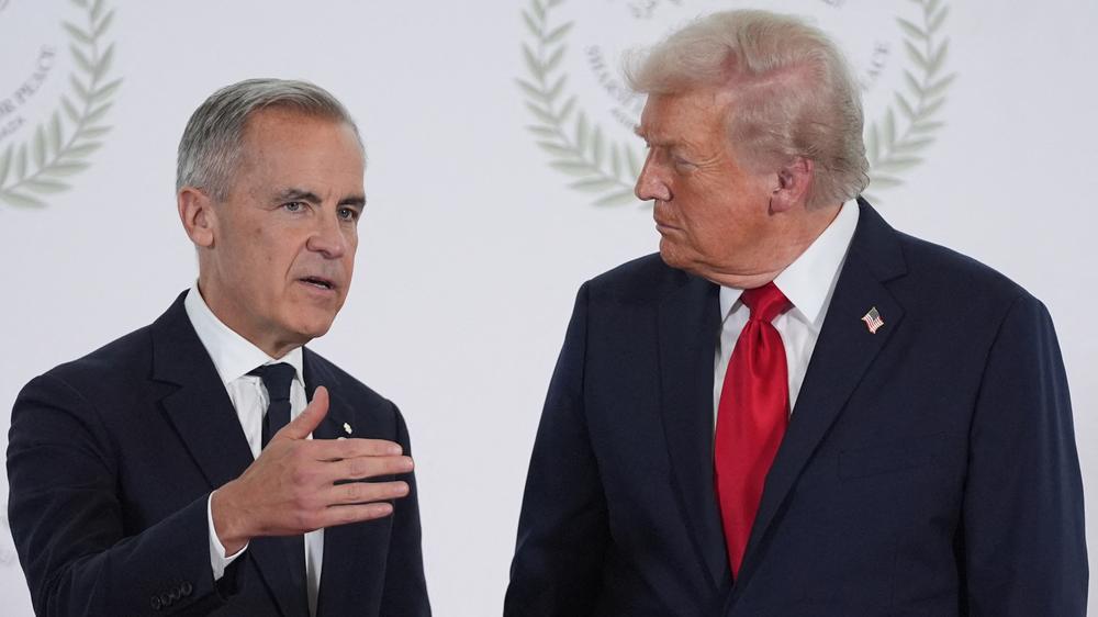  Kanadas Regierungschef Mark Carney spricht mit US-Präsident Donald Trump. (Archivbild)