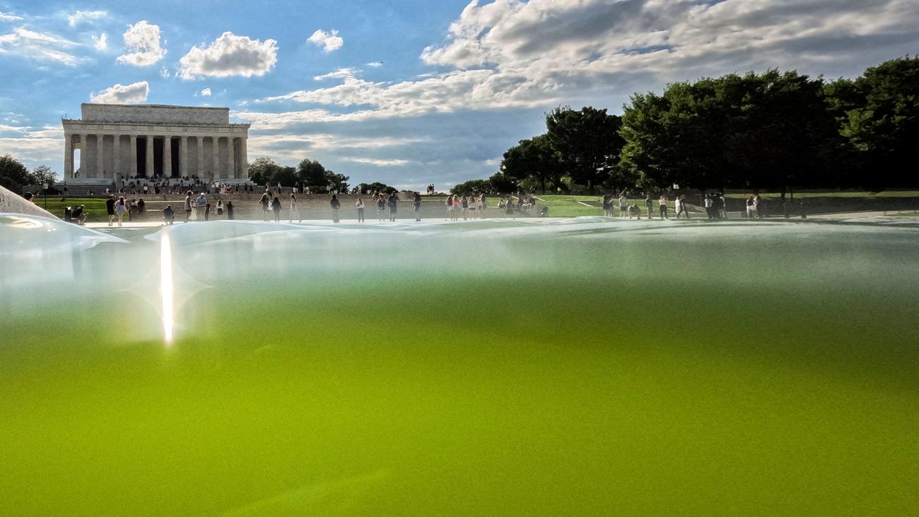 Donald Trumps Reflecting Pool: Der Pool, an dem der Präsident verzweifelt