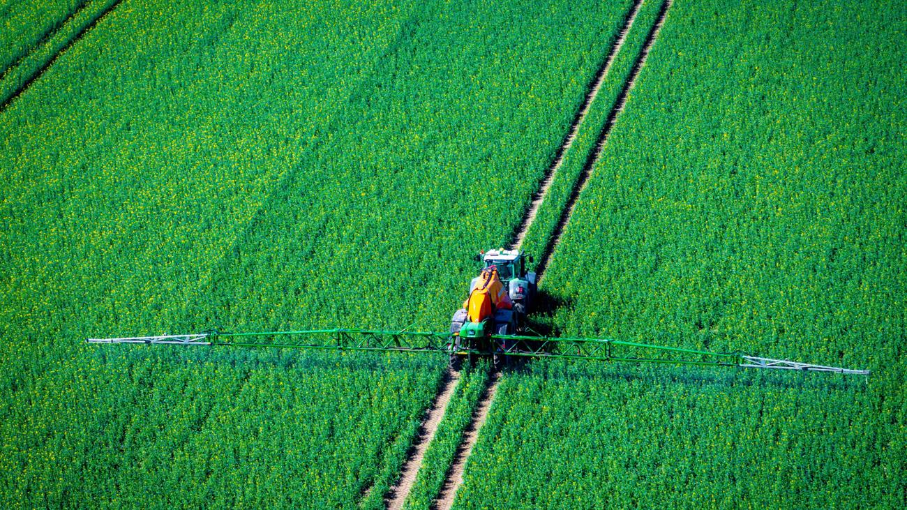 Glifosat: Bayer, dava dalgası ortasında ABD glifosat işini birleştiriyor