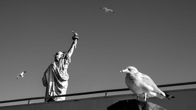 Meinungsumfragen zu den USA: Trumps Fans in der Ferne