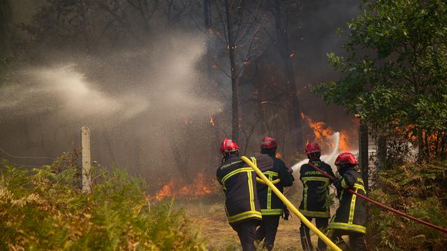 Waldbrände: Klimawandel erhöht Waldbrandgefahr in Spanien um das Zwanzigfache