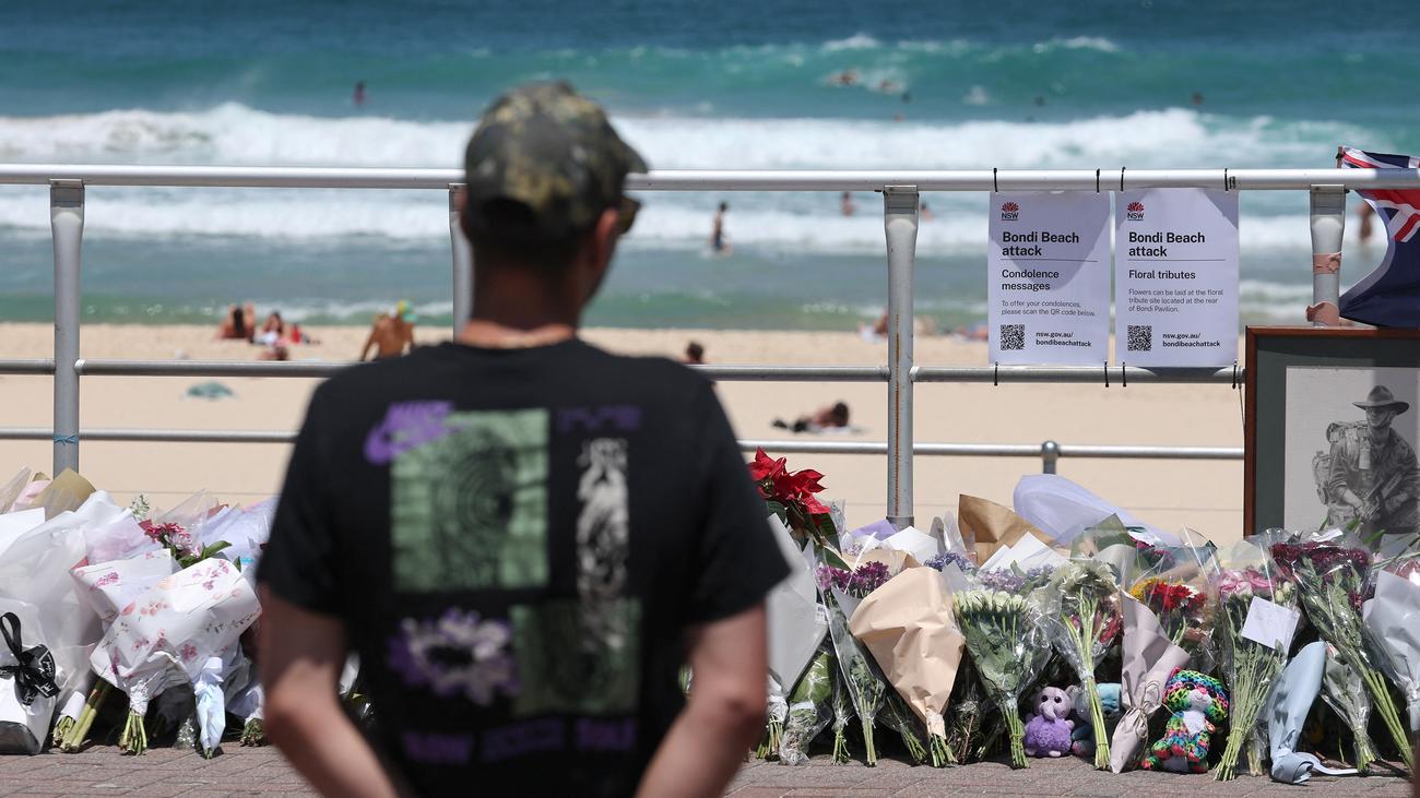 Firearm buyback program in Australia: New South Wales announces firearm ...