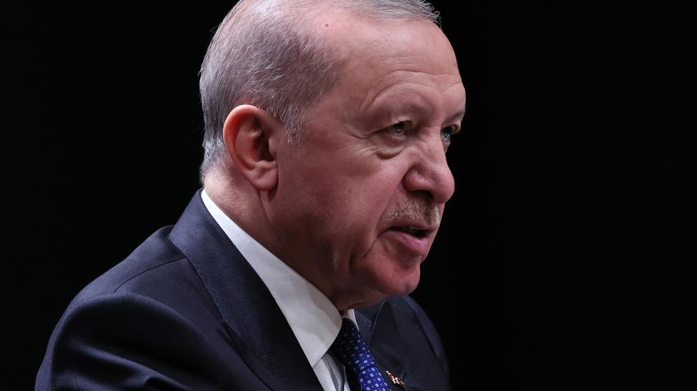 Türkei Recep Tayyip Erdogan PKK Gesetz Straferleichterung