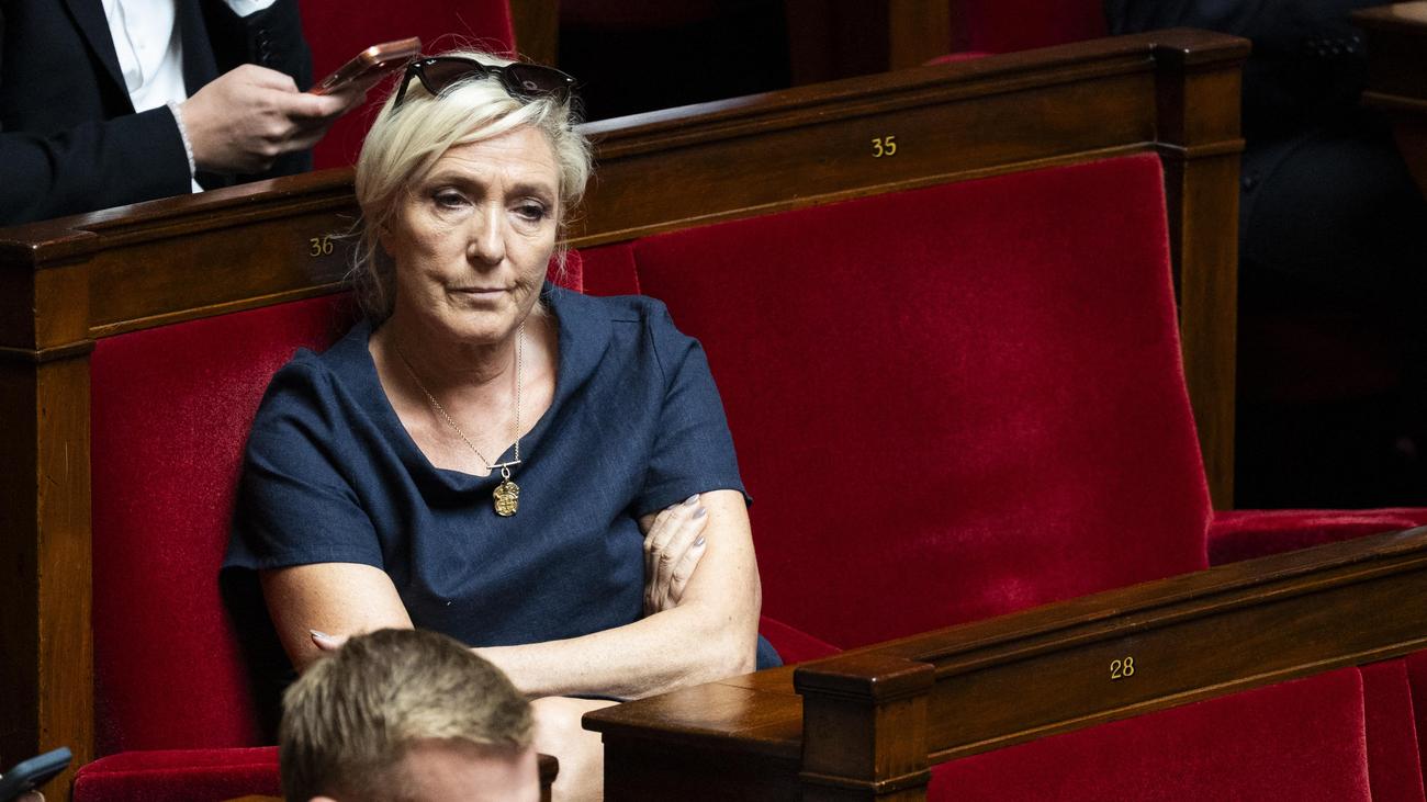 Marine Le Pen: Darum verliert Marine Le Pen kein Wort zum Wahlerfolg der AfD
