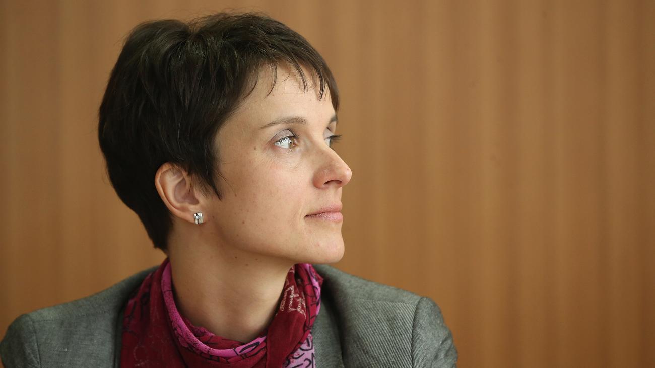 Frauke Petry: AfD-Chefin steht vor Privatinsolvenz | ZEIT ...