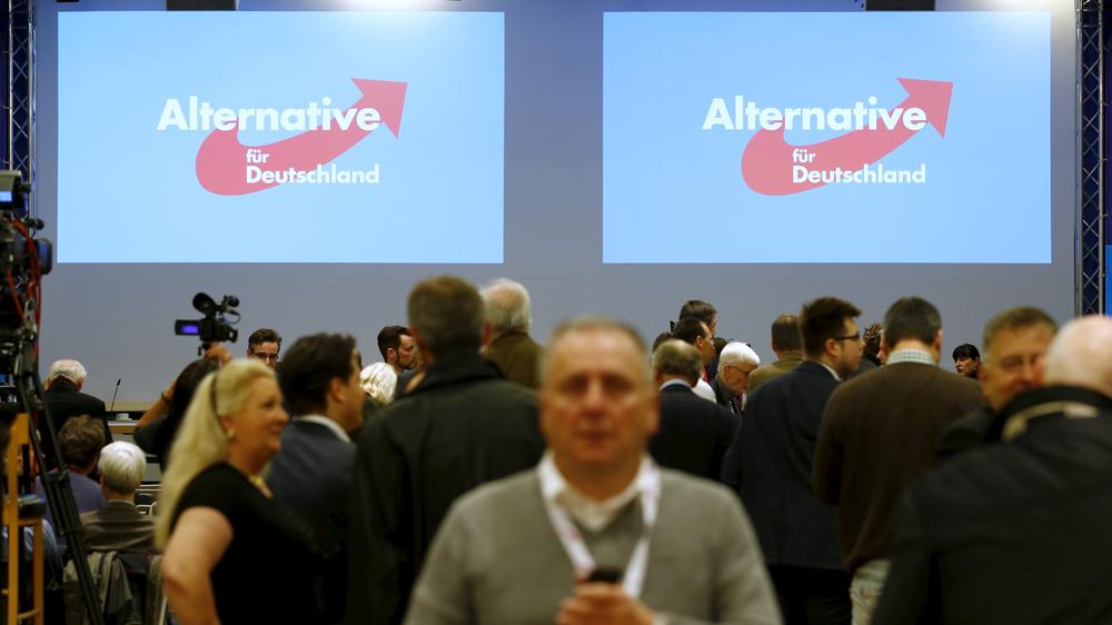 Politik, Parteitag, Alternative für Deutschland, Parteitag, Hannover, Frauke Petry, Alexander Gauland, Bundeswehreinsatz