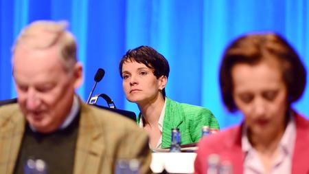 Get Afd Parteitag Pics