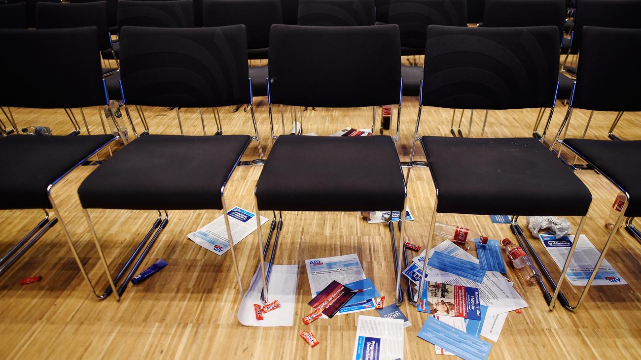 Boateng-Effekt: AfD sackt zeitweise in Umfrage ab | ZEIT ...