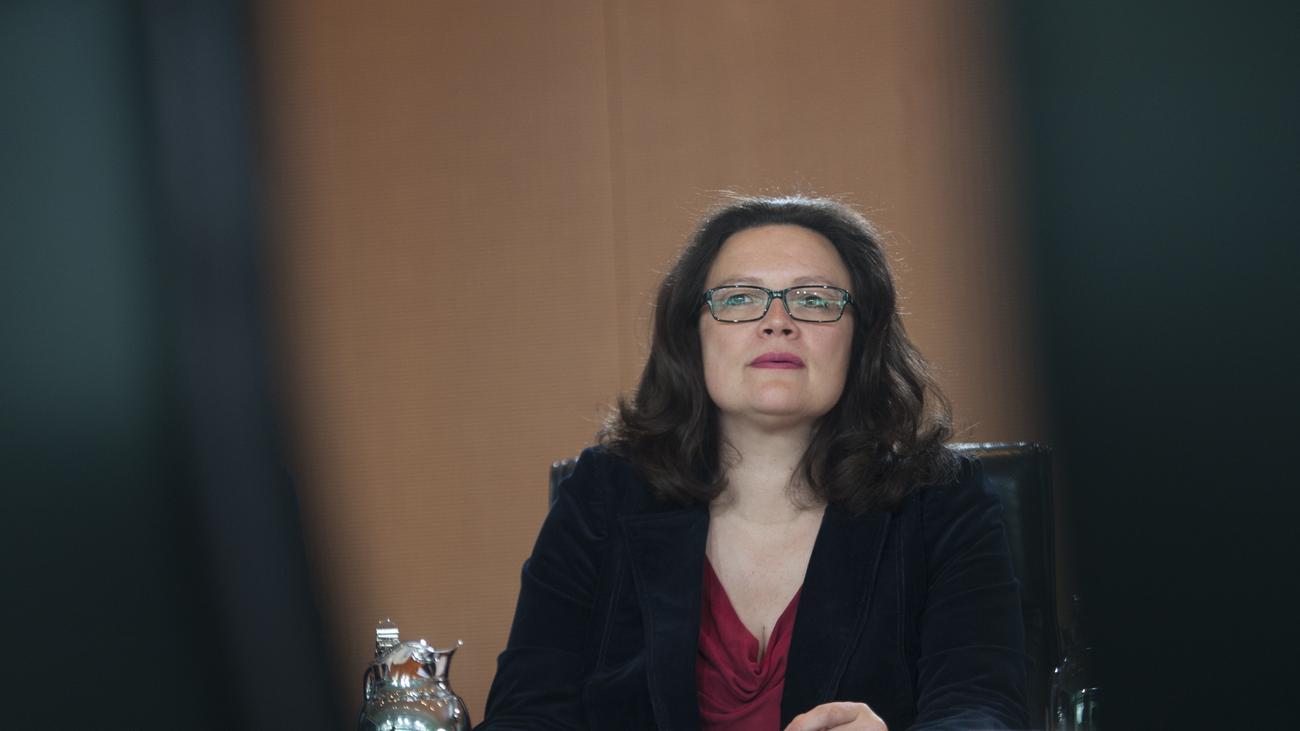 Andrea Nahles Blum Und Riester Kritisieren Rentenkonzept Zeit Online