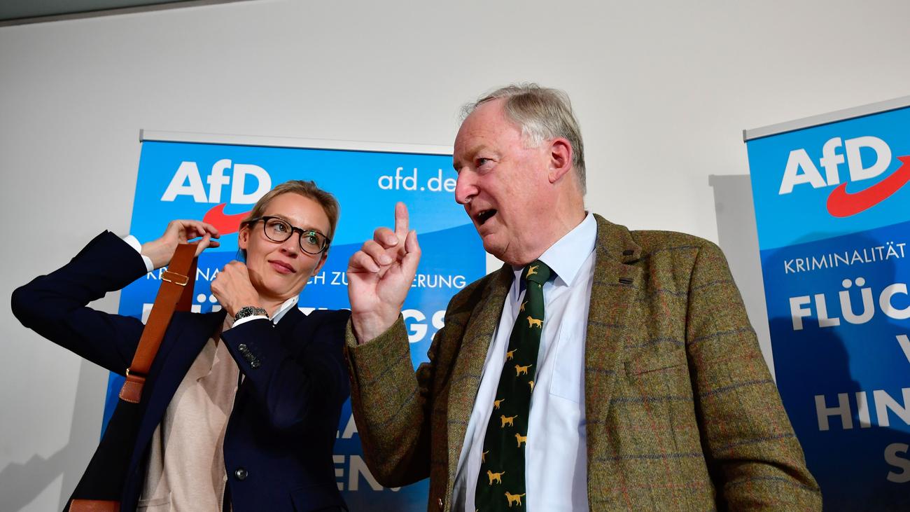 Bundestagswahl: AfD gewinnt weiter an Zustimmung | ZEIT ONLINE