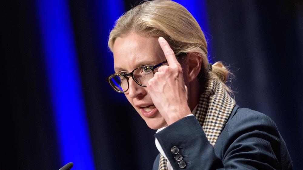 Alternative für Deutschland: AfD bezeichnet angebliche Weidel-E-Mail als  Fälschung | DIE ZEIT