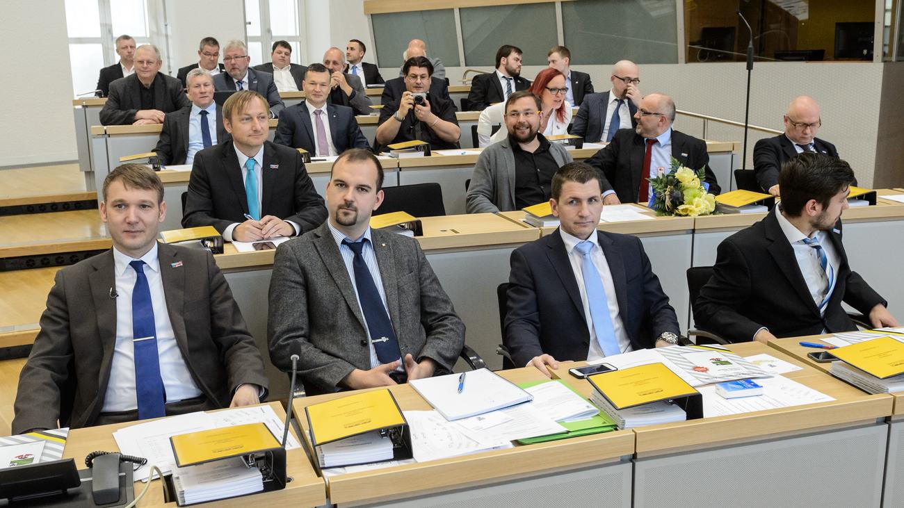 AfD Sachsen-Anhalt: Poggenburg geht nicht allein | ZEIT ONLINE