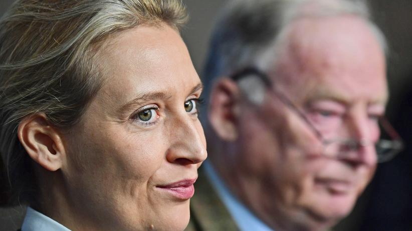 AfDWahlkampfspende Alexander Gauland stellt sich hinter Alice Weidel