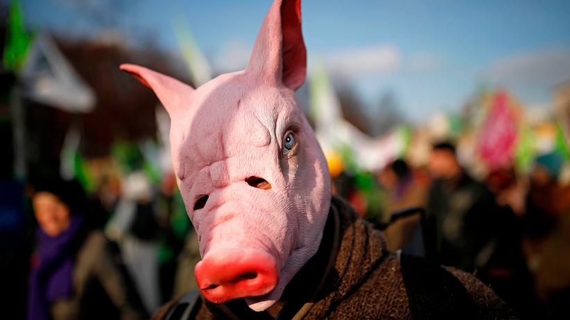 Agrarpolitik: Ein Teilnehmer der Demonstration "Wir haben Agrarindustrie satt!" am 19. Januar 2019 in Berlin