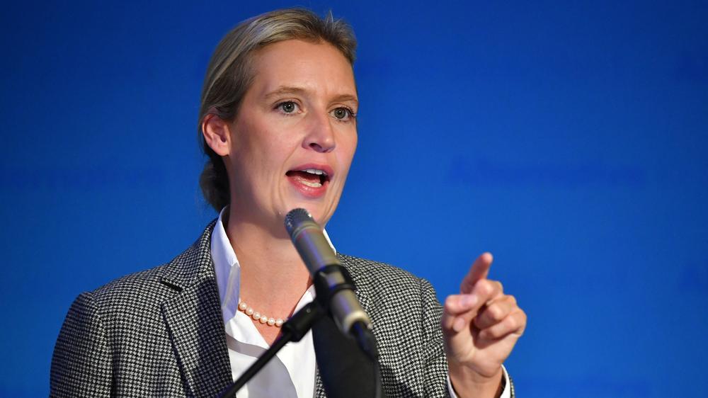 AfD: Alice Weidel nennt Spendenaffäre "lächerlich" | DIE ZEIT