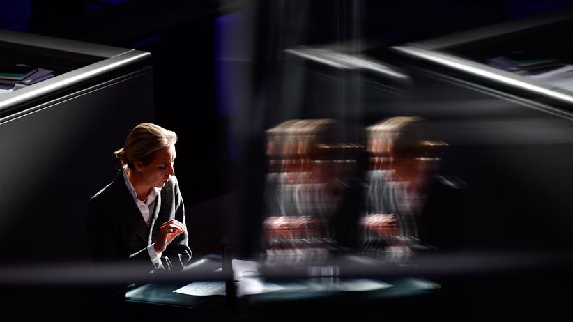 AfD-Spendenaffäre: Alice Weidel im Bundestag