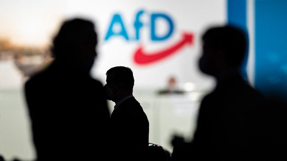 Desiderius-Erasmus-Stiftung NGO AfD-nahe Stiftung