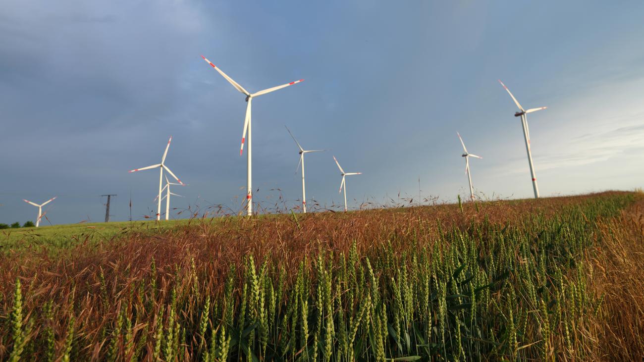 Bundeshaushalt: Bundeskabinett Beschließt Klimaschutz-Sofortprogramm ...