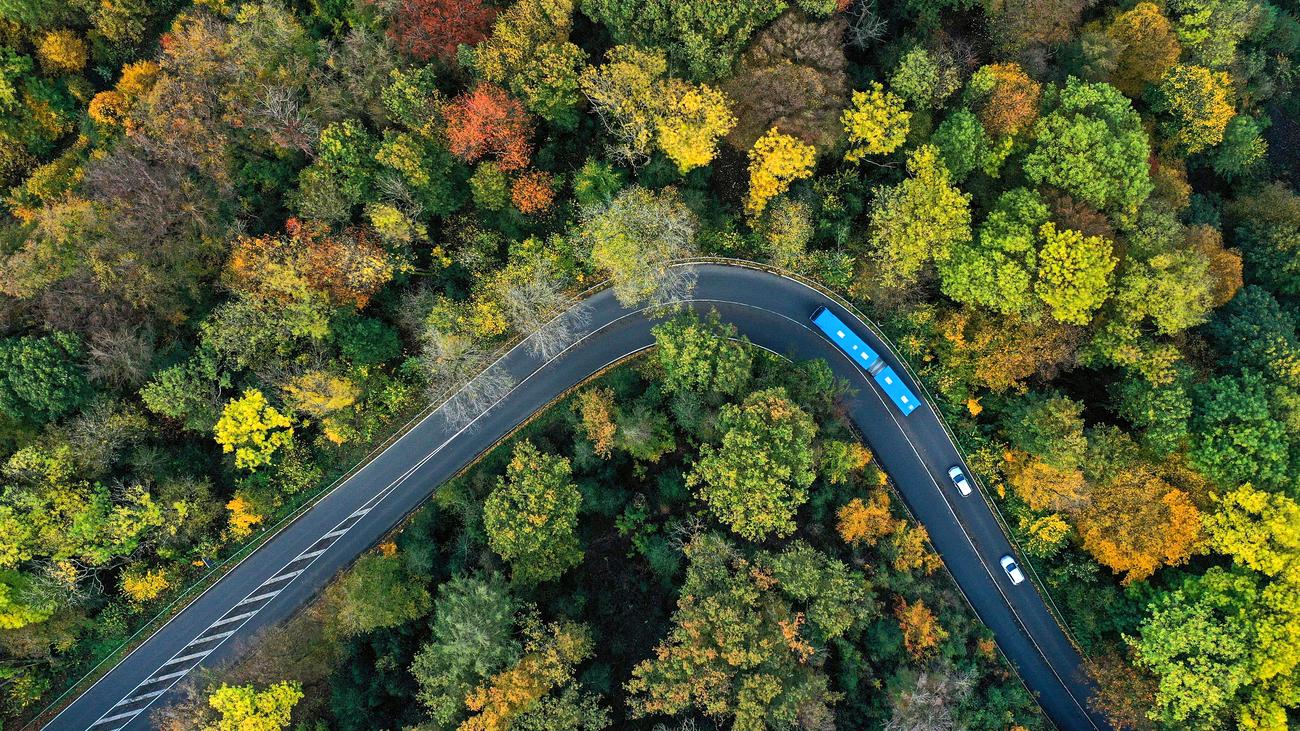 Bundesregierung will 900 Millionen in Wälder investieren