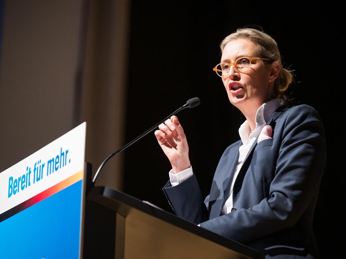 AfD: Gericht bestätigt Bußgeld in Spendenaffäre um Alice Weidel | DIE ZEIT
