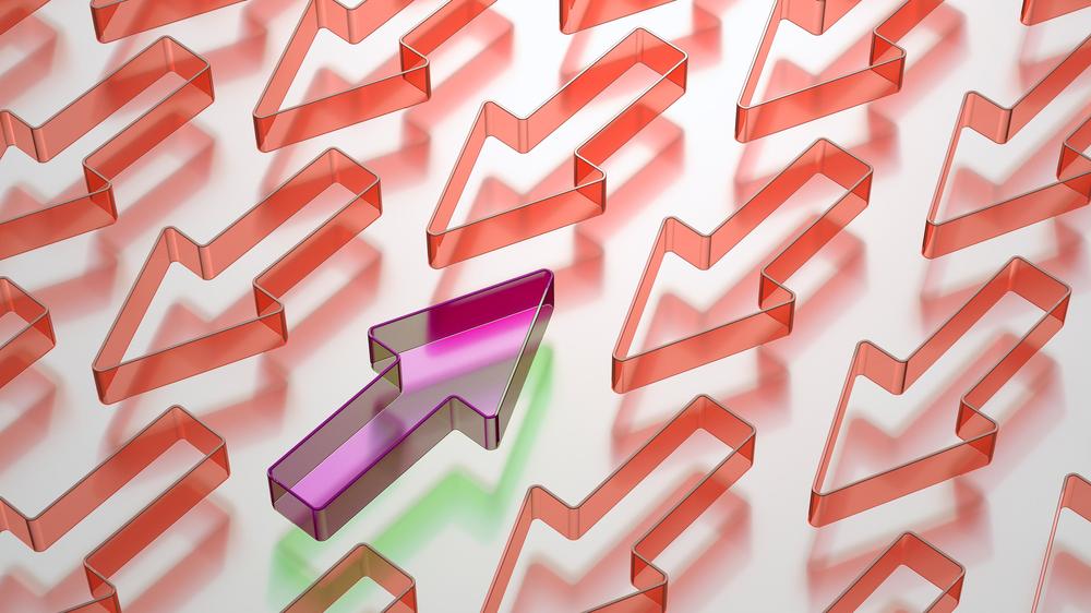 Die Linke: Bei den Mitgliederzahlen macht die Linke zurzeit eine überraschende Erfahrung.