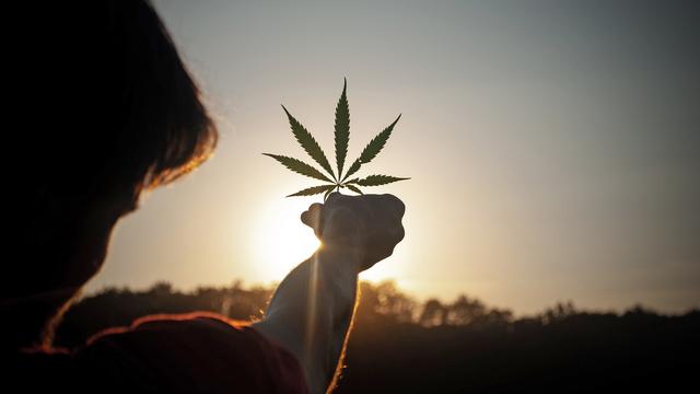 Cannabislegalisierung: Bundestag stimmt für teilweise Legalisierung von Cannabis
