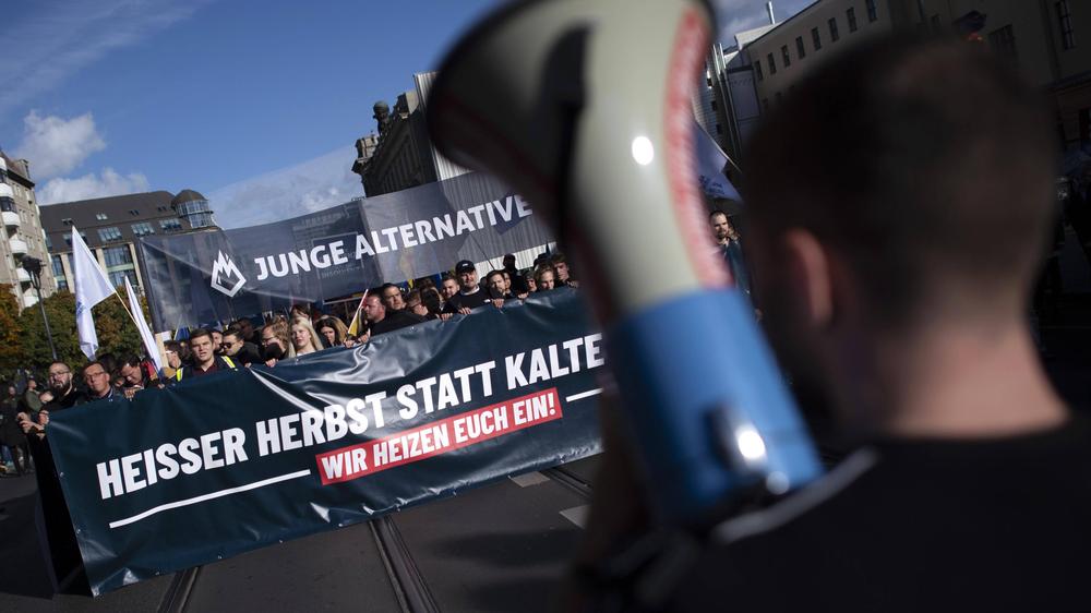 Die Junge Alternative: Freidrehende Radikale | ZEIT ONLINE