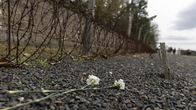NS-Gedenkstätte: Gedenkstätte Sachsenhausen meldet Zunahme antisemitischer Vorfälle