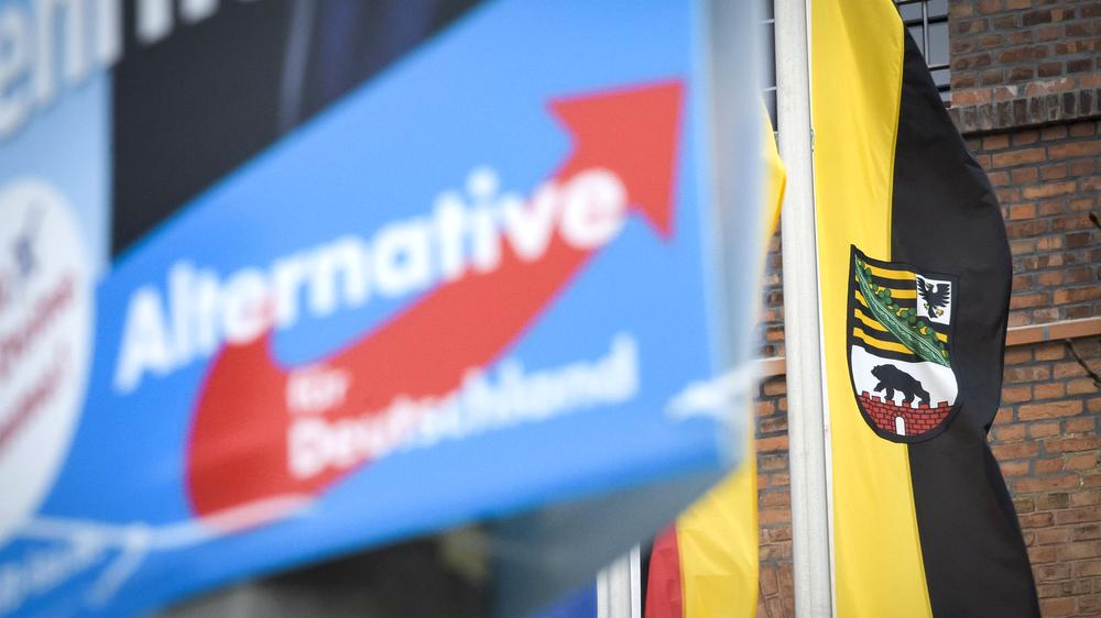 AfD Halle Sachsen-Anhalt