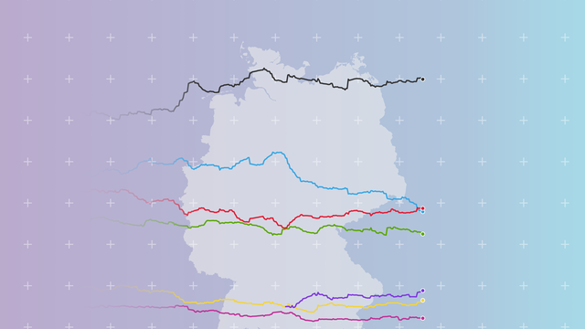 Wahlumfragen: Der Abstieg der AfD