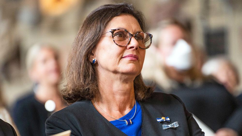 Ilsa Aigner - Parliament - ADF - Destruction