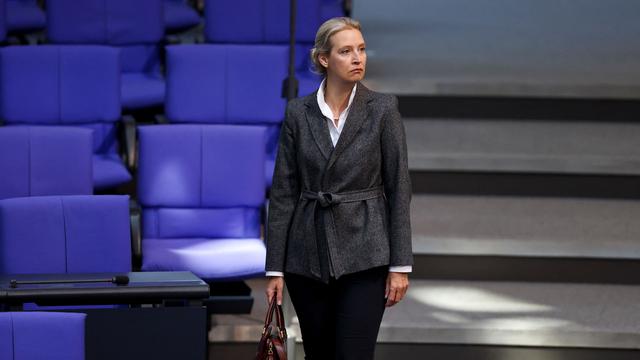 Bundesverfassungsgericht: AfD hat keinen Anspruch auf Ausschussvorsitz im Bundestag