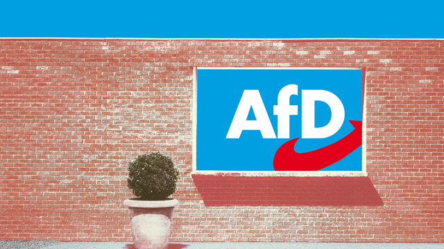 Kooperation mit der AfD: Die Brandmauer – bald nur noch eine Ruine?