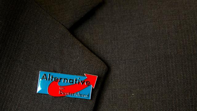 Parteiverbot: Abstimmung zum AfD-Verbotsverfahren wohl erst nach Bundestagswahl