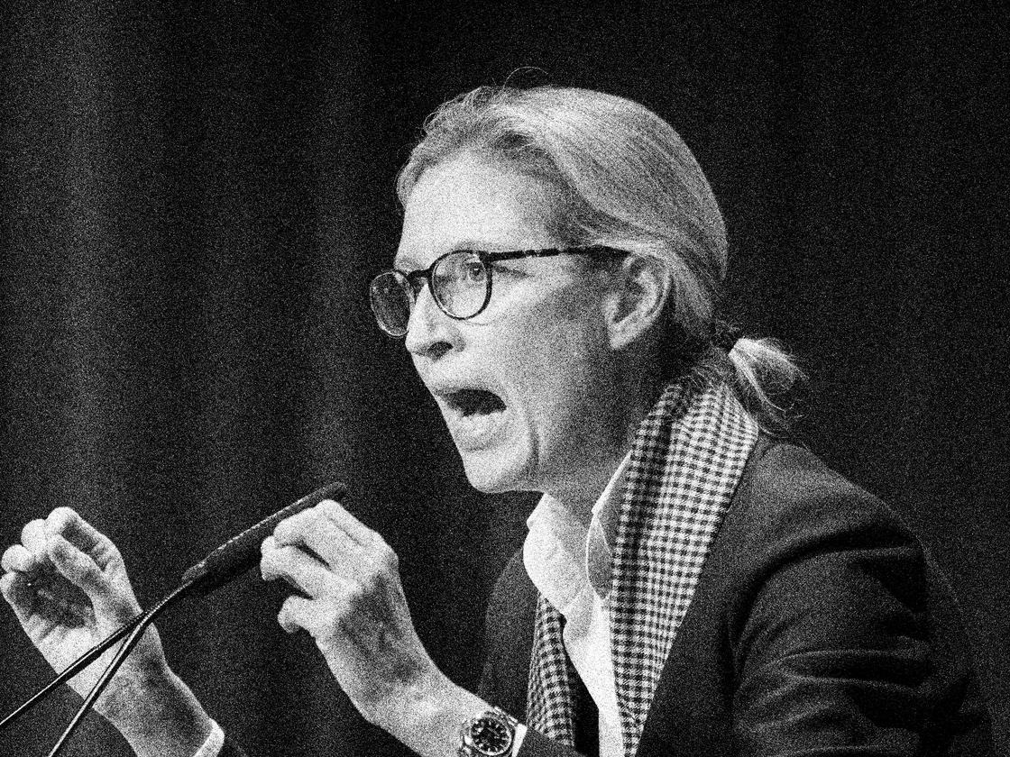 Alice Weidel: Die Weidel-Wut | DIE ZEIT