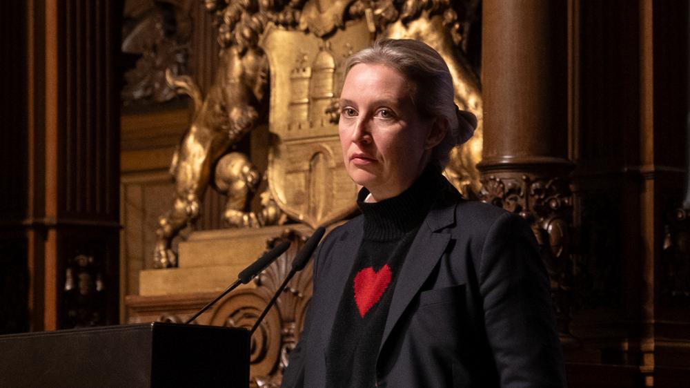 AfD : Weidel spricht sich für Einbindung von Superreichen in Regierung aus | DIE ZEIT