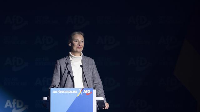 AfD : Weidel spricht sich für Einbindung von Superreichen in Regierung aus