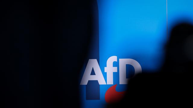 Großspende an AfD: Österreichische Behörden prüfen Herkunft von AfD-Großspende