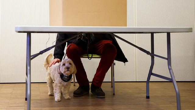 Bürgerschaftswahl in Hamburg: Wahlbeteiligung in Hamburg deutlich höher als vor fünf Jahren