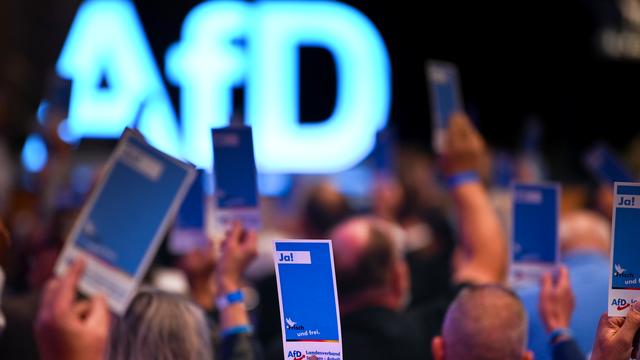 Landtagswahl 2026: AfD in Sachsen-Anhalt in Umfrage stärkste Kraft